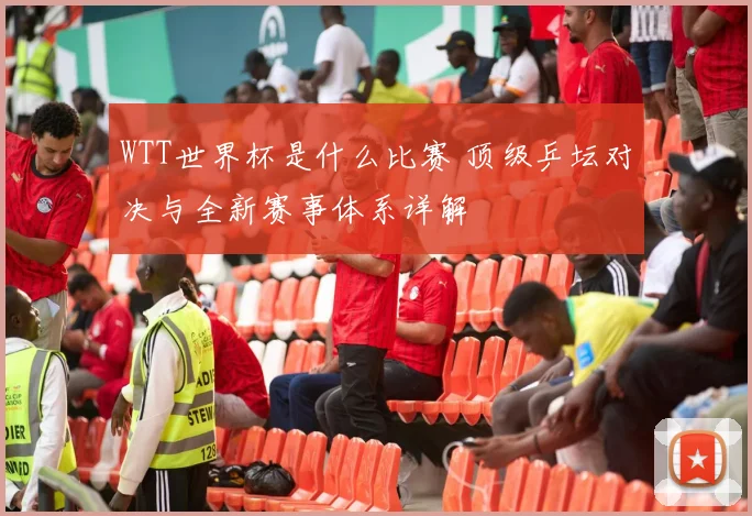 WTT世界杯是什么比赛 顶级乒坛对决与全新赛事体系详解