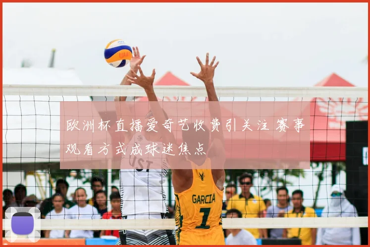 欧洲杯直播爱奇艺收费引关注 赛事观看方式成球迷焦点